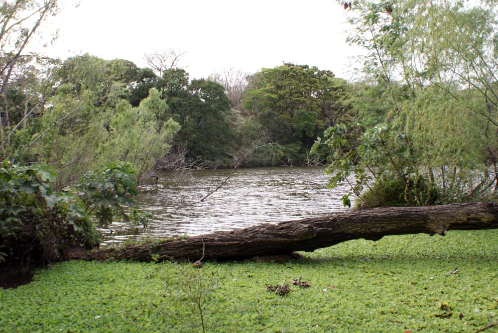 Alcaldía pide preservar las áreas naturales