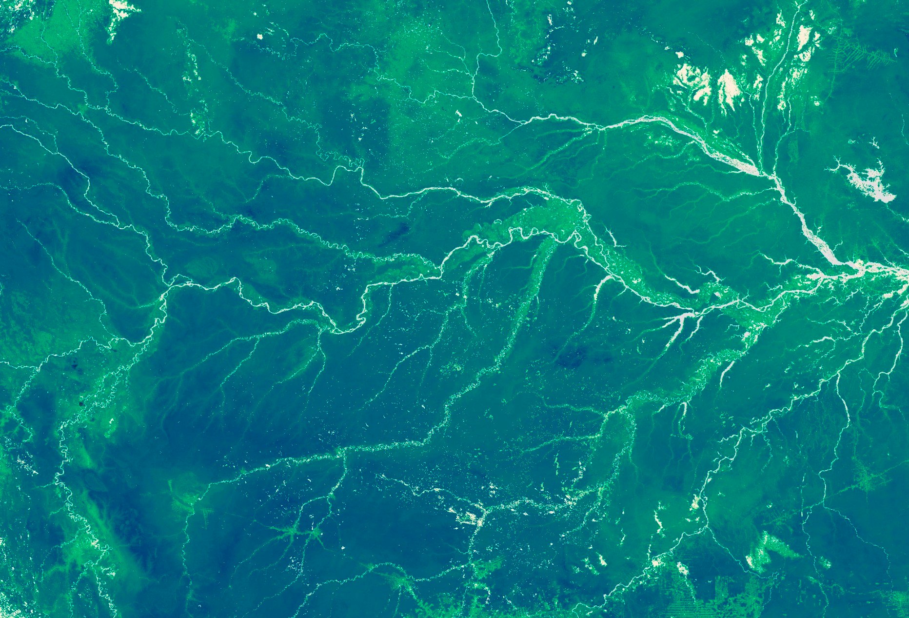 La NASA dice que la deforestación en Bolivia se incrementó en un 167%