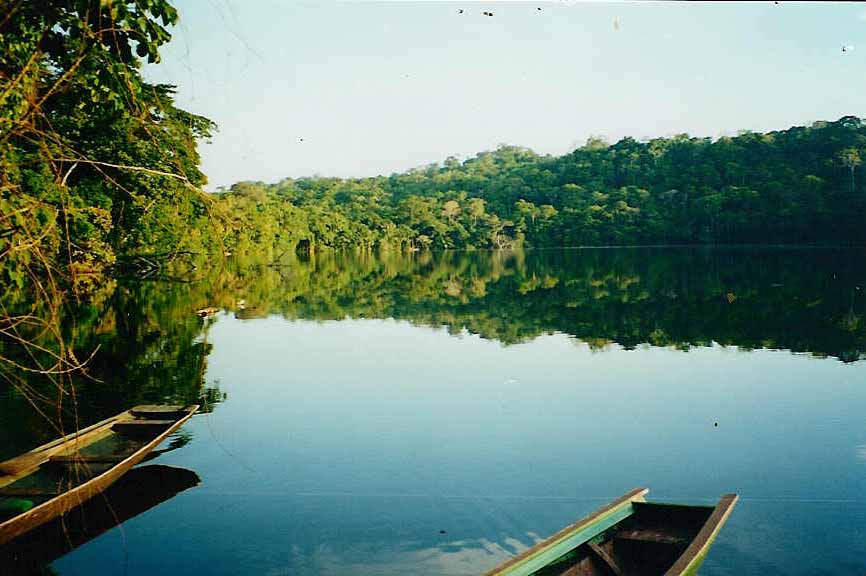 Evo ratifica coca cero en parques nacionales