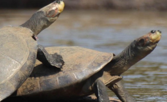 En Beni, hay tres nuevos humedales