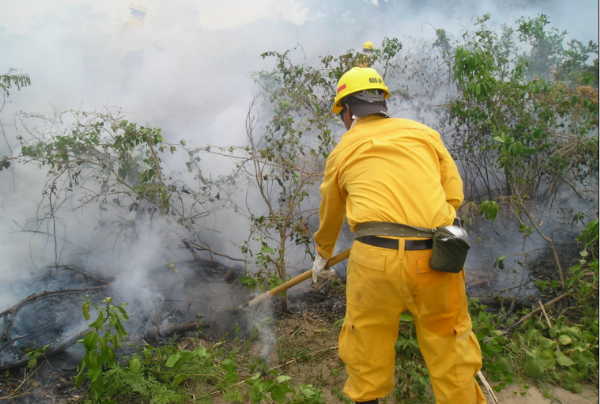 Descuido de vecinos provocó 16 incendios forestales en enero