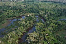 WWF felicita a Bolivia por proteger humedal clave para preservar la Amazonía