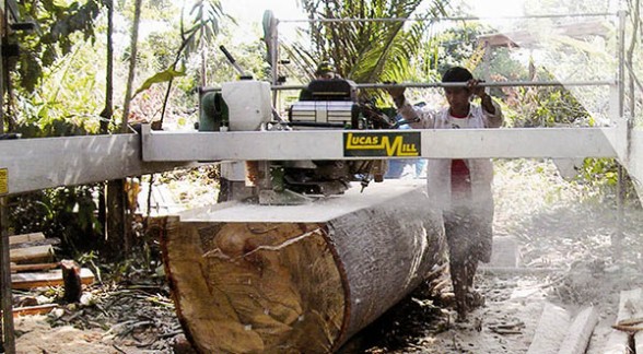 Comunarios de Pando son dueños del bosque