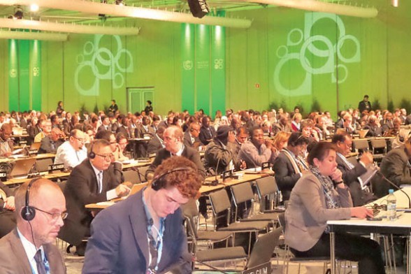 COP19, ¿en qué queda el cambio climático?